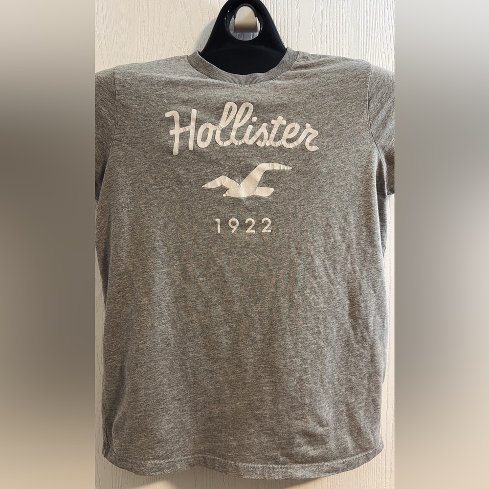 Hollister Gray Short Sleeve Tee with Logo
